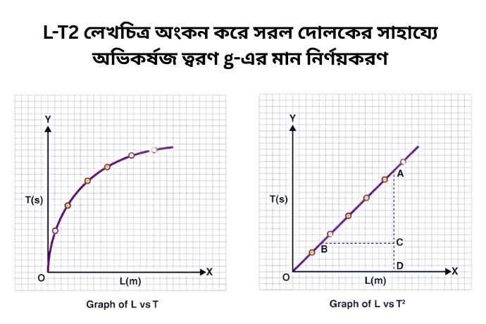 l-t2 লেখচিত্র অংকন করে সরল দোলকের সাহায্যে অভিকর্ষজ ত্বরণ "g"-এর মান নির্ণয়করণ