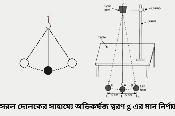 সরল দোলকের সাহায্যে অভিকর্ষজ ত্বরণ g এর মান নির্ণয়